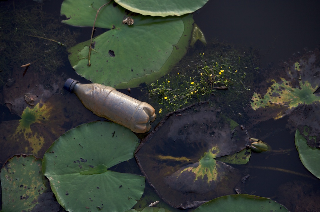 A bottle sits in the the water as the sun sets behind a pond on the campus of the University of South Alabama Saturday, Sept. 19, 2009, in Mobile, Ala.
