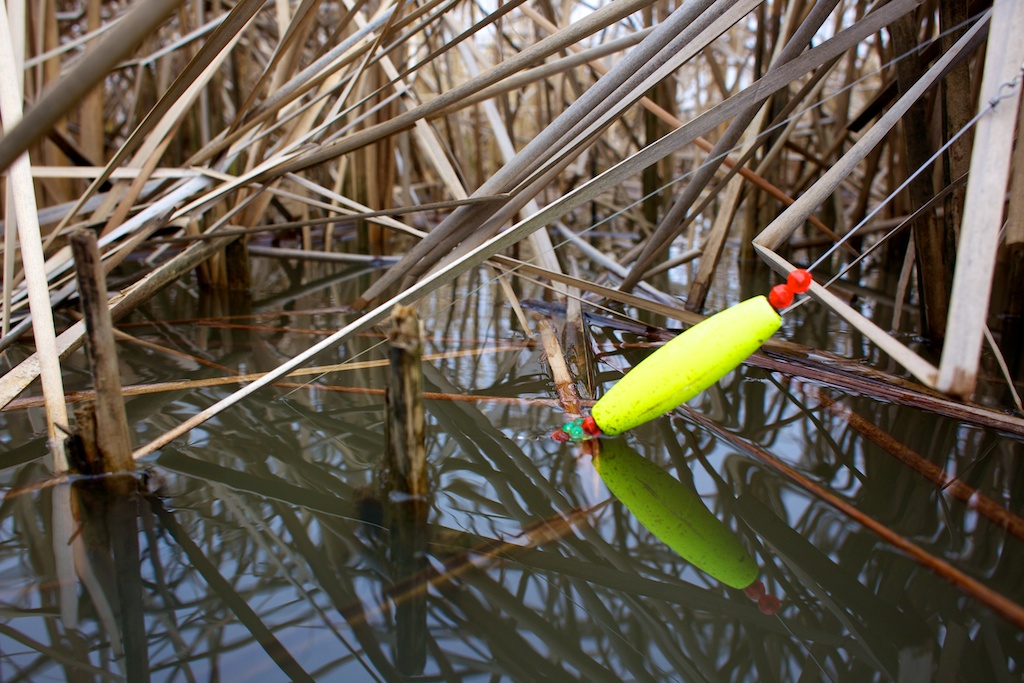 A fishing lure floats just above the water where it was stuck in the grass near Justins Bay west of Spanish Fort, Ala., Friday, Feb. 19, 2010.