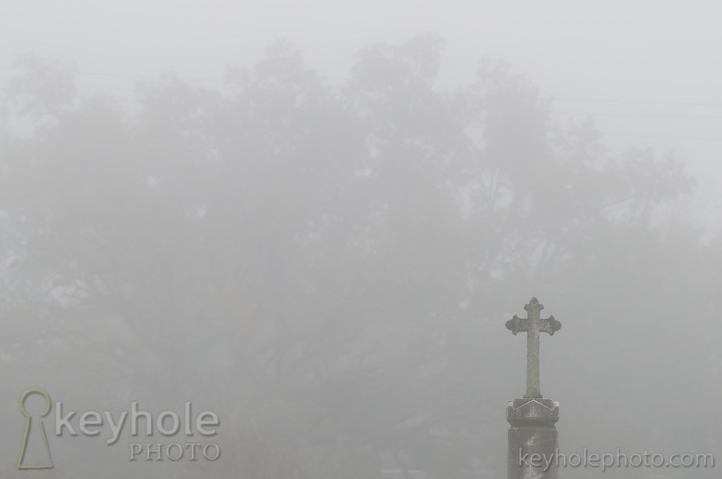 fog in the Church Street Graveyard