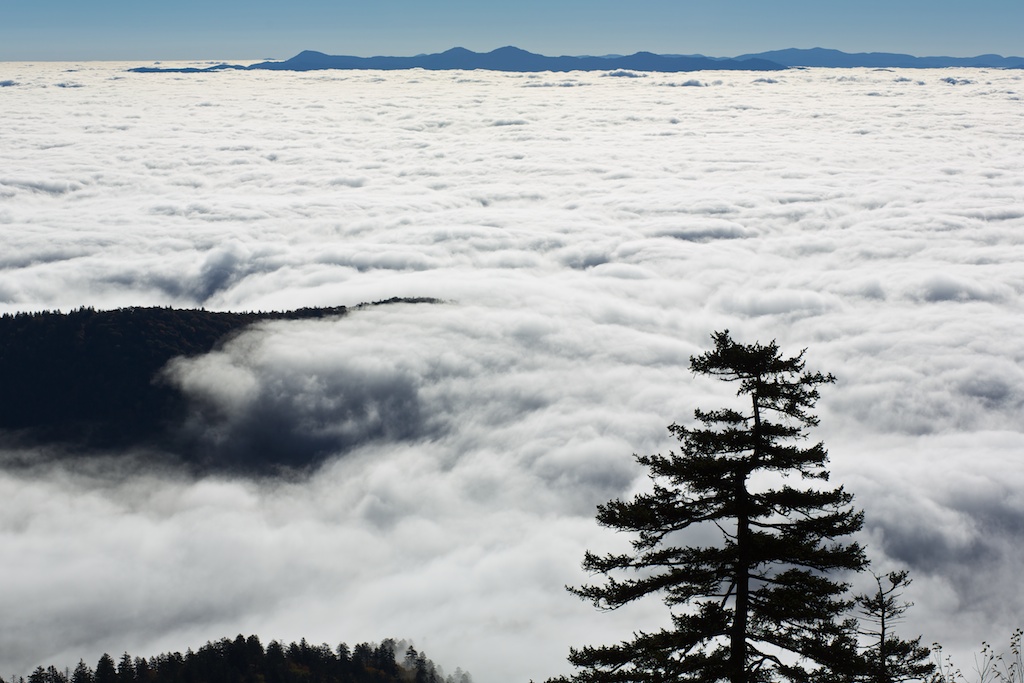 Smokies