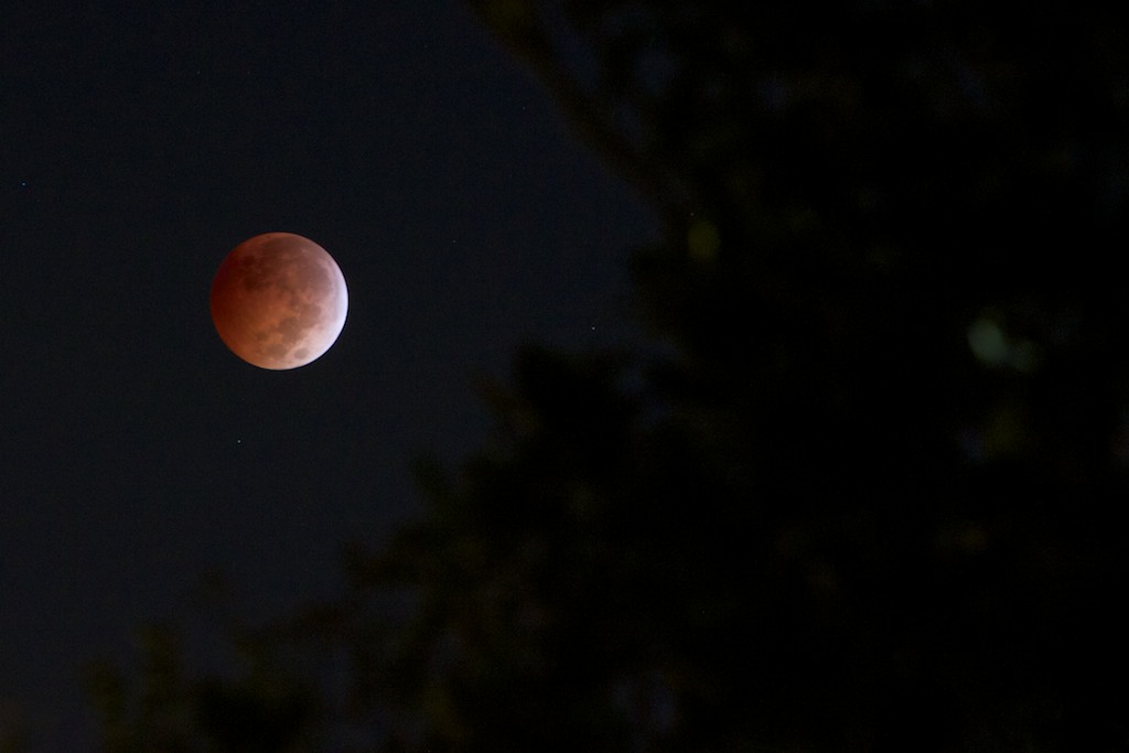 A total lunar eclipse makes a blood moon appear in the early morning sky of Wednesday, Oct. 8, 2014, in Mobile, Ala.