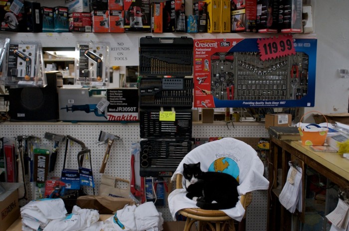 BamBam sits in a chair at Blankenships' Universal Hardware in Mobile, Ala., Tuesday, Nov. 3, 2009.