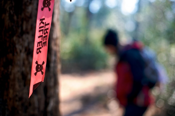 A killer tree marker hangs from a tree on the Black Creek Trail in the Black Creek Wilderness in Mississippi east of Wiggins, Sunday, Dec. 20, 2009.