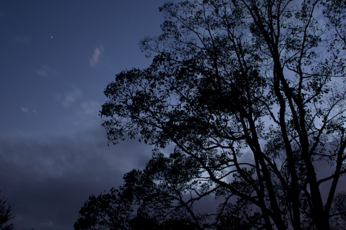 Stars emerge as the evening falls in Fairhope Friday, Dec. 4, 2009.