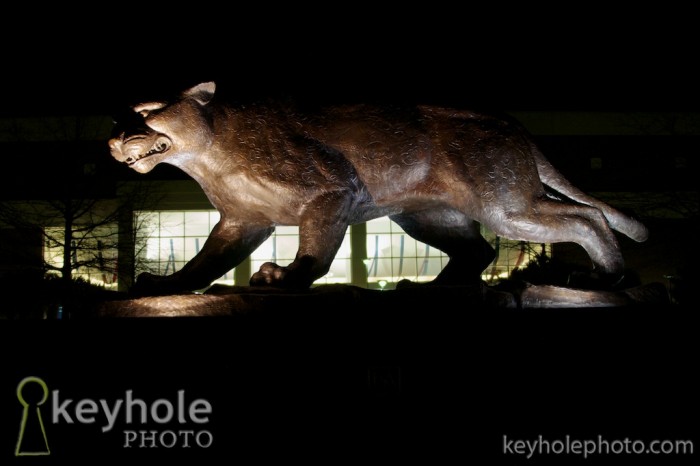 A Jaguar statue in front of the Mitchell Center at the University of South Alabama in Mobile, Ala., Thursday evening, March 11, 2010.