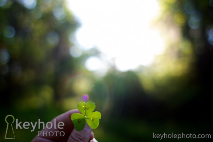 A cloverleaf with dark spots.