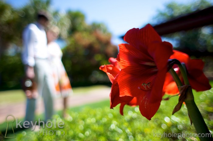 Flower and couple