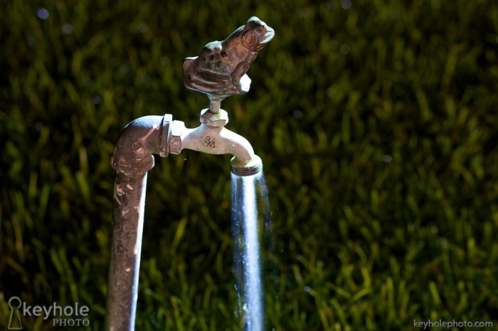 frog spigot