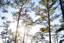 Blakeley Historical Park, Spanish Fort, Alabama