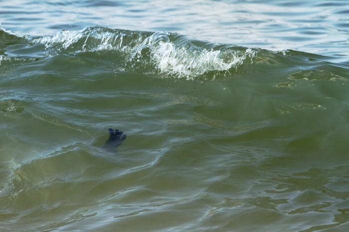 Glove floating in the Gulf of Mexico