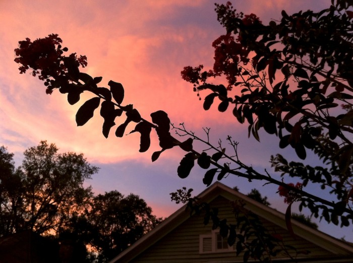 Sunset on Dauphin Street