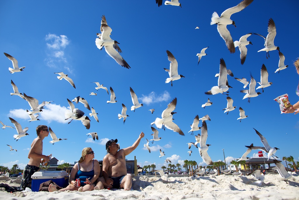 Scenes of life from Gulf Shores, Alabama