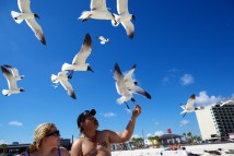 Scenes of life from Gulf Shores, Alabama