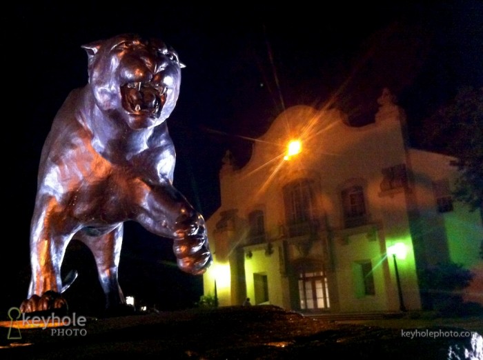 University of South Alabama jaguar