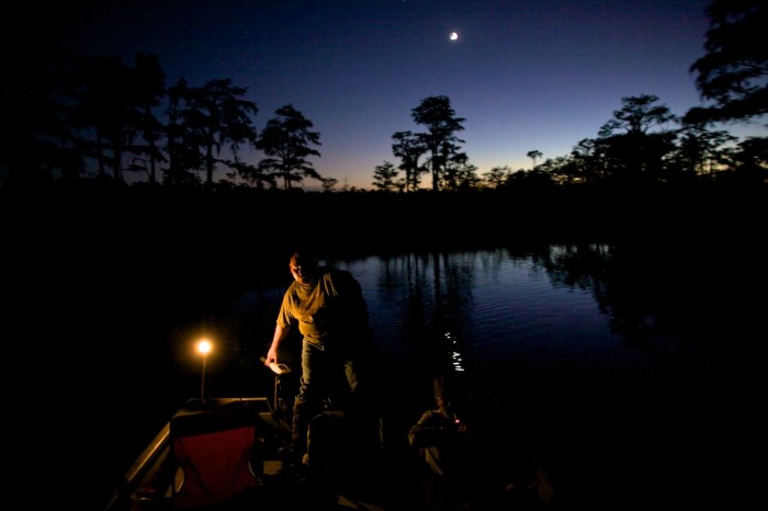 Joe Radcliff pilots a boat up a bayou off of Paige Lake as the moon sets and hunters search the waters for alligators during a hunt north of Gautier, Miss.