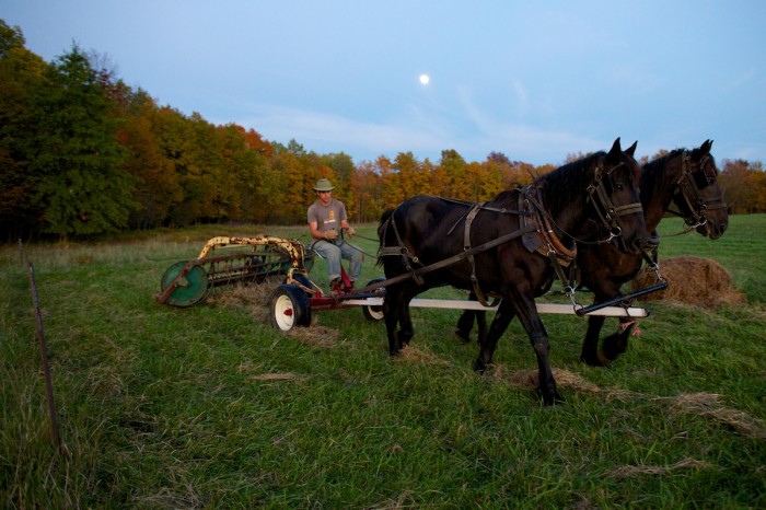 Horse-drawn plow in Cuyahoga National Park, Ohio