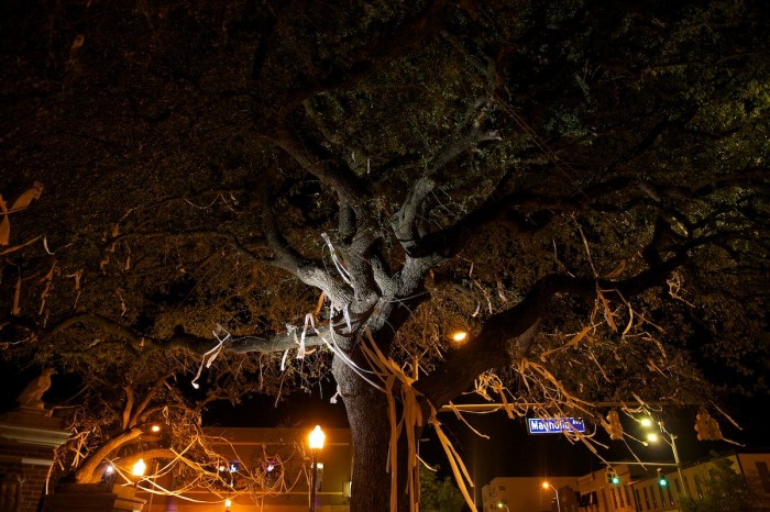 Signs and other items of good wishes adorn the poisoned oaks at Toomer's Corner of Auburn Univerity's campus in downtown Auburn, Ala., Saturday evening, Feb. 19, 2011. A task force has been set up to try to save the trees, which were poisoned by an Alabama fan after the annual Iron Bowl matchup between the University of Alabama and Auburn. Auburn went on to win college football's BCS national championship. For years, fans have "rolled" the trees with toilet paper as a celebratory tradition.