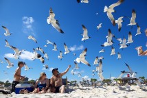 The Pritchett family, from left, Ryan, Christie, Glenn and Jordan (not pictured) feed seagulls at the main public beach in Gulf Shores, Ala., Sunday, July 4, 2010. They had traveled about 2 hours for their first trip to the beach, from Citronelle, Ala., after moving to the area in January.