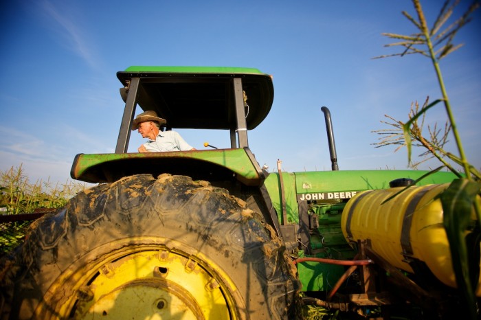 Stewart Foster, 80, of Belforest, drives the tractor as workers pick corn in Vince Allegri's field in Belforest, Ala., Saturday morning, June 27, 2009.