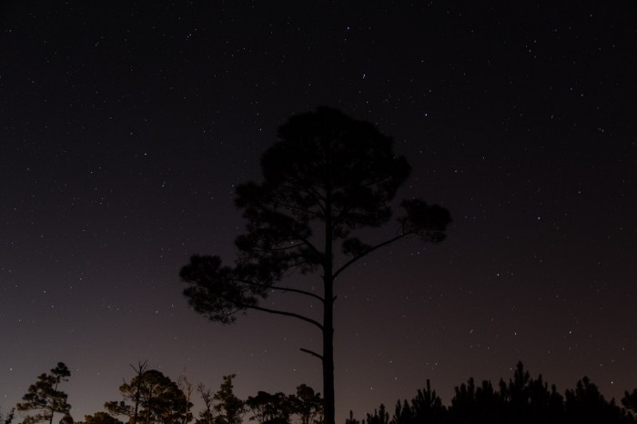 Stars fill the night sky of rural Mobile County, Alabama Nov. 28, 2014.