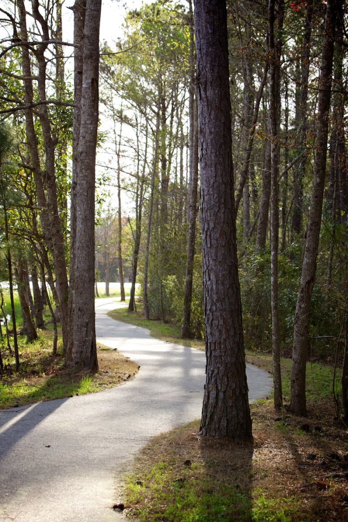 The Eastern Shore Trail snakes its way through trees near Weeks Bay southeast of Fairhope, Ala. This photo was taken March 27, 2014.